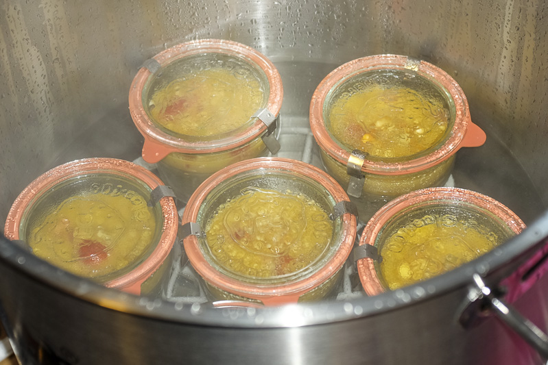 essen_rezept_linsen_kokos_10