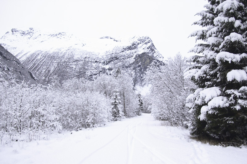 fahrzeuge_motorrad_fjordrally_2004_14