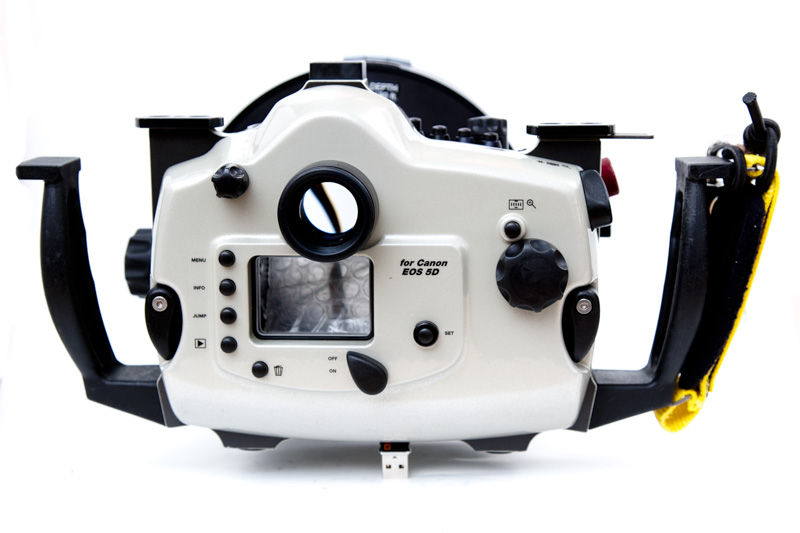 fotografie_unterwasser_subal_CD5_03