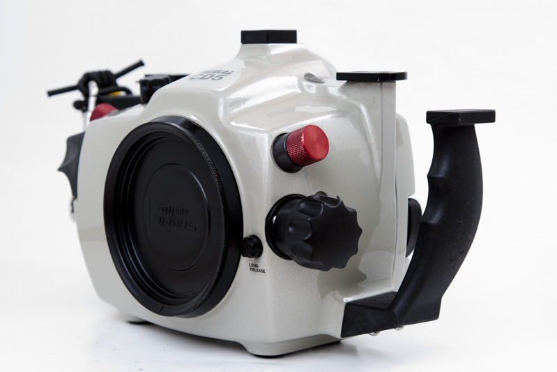 fotografie_unterwasser_subal_CD5_10