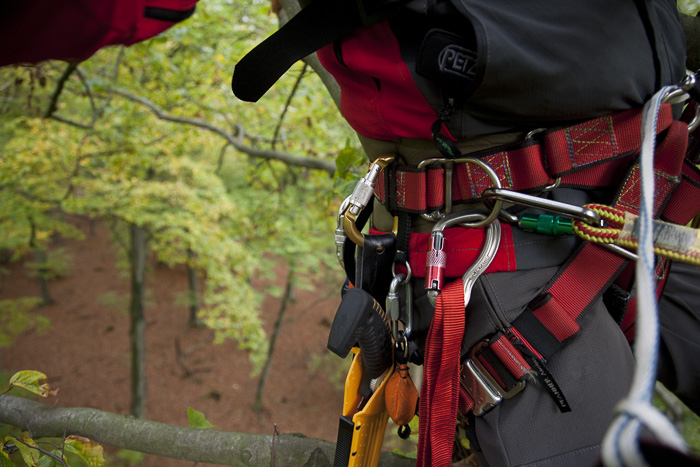 haus_holz_baumsaege_sugoi_06