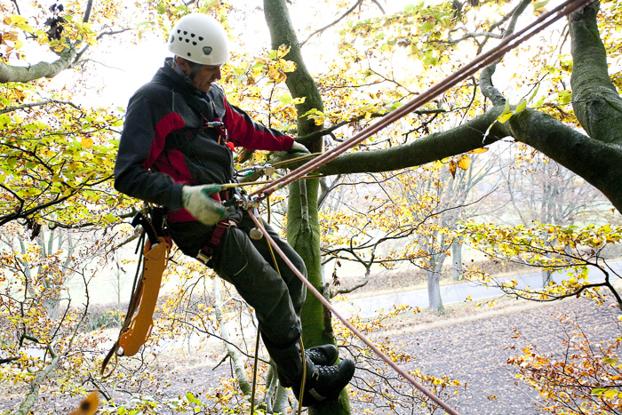 haus_holz_baumsaege_sugoi_07