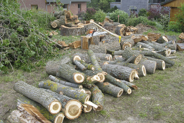 haus_holz_motorsaege_stihl_ms261_01