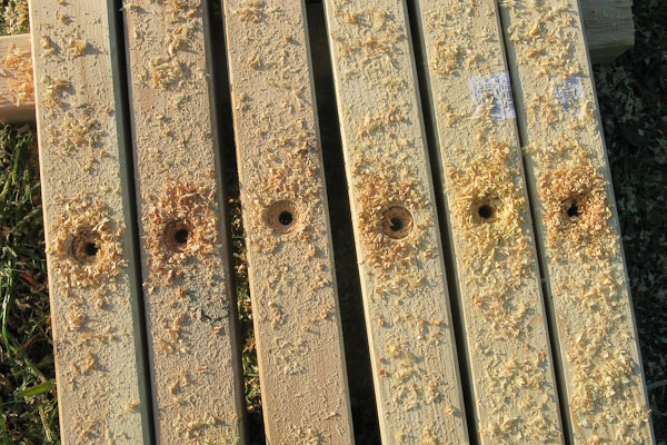 haus_holz_saegebock_13