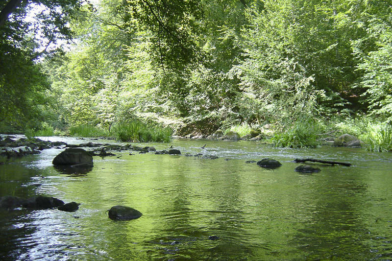 kanu_grabner_adventure_warnow_09