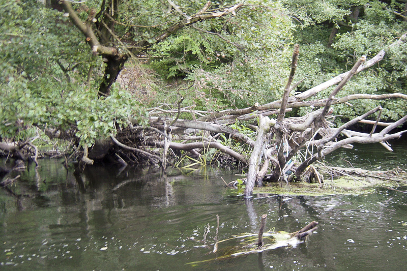 kanu_grabner_adventure_warnow_13