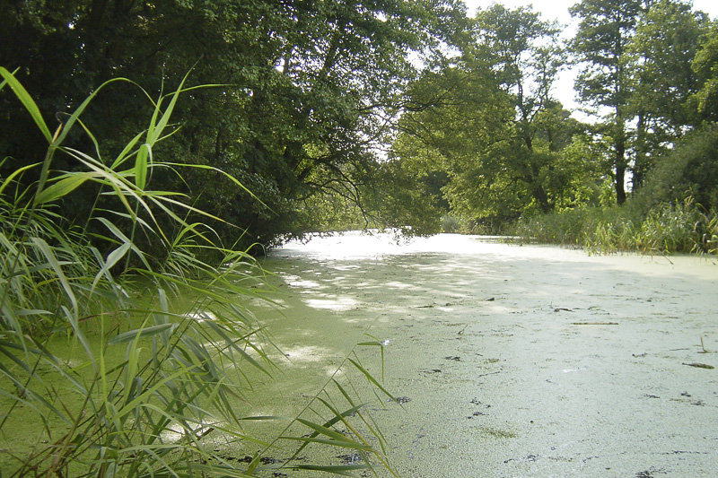 kanu_grabner_adventure_warnow_20