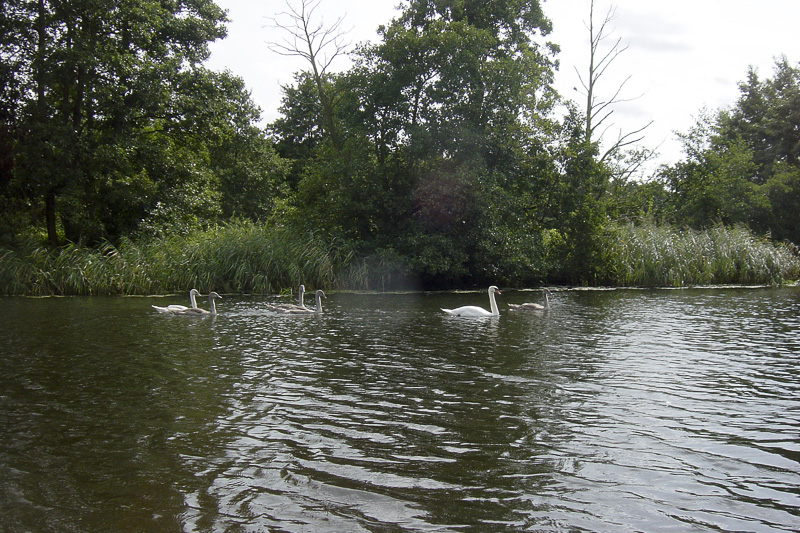 kanu_grabner_adventure_warnow_34