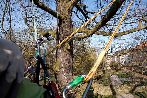 seilkletter_spiderjack_10