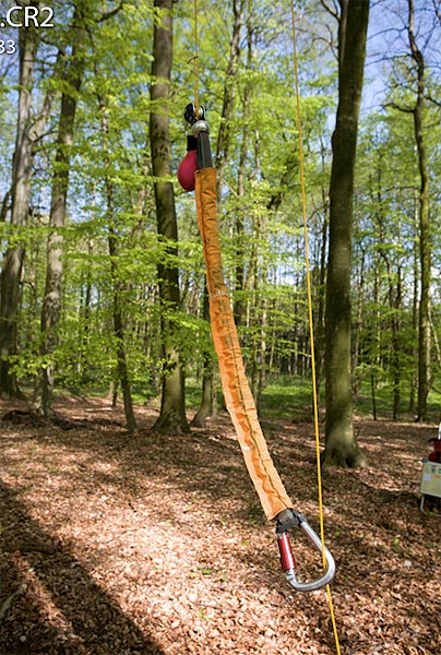 seilklettern_kambium_04