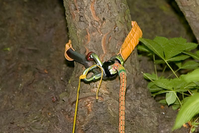 seilklettern_kambium_09kl