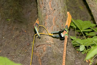 seilklettern_kambium_10kl