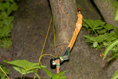 seilklettern_kambium_11kl