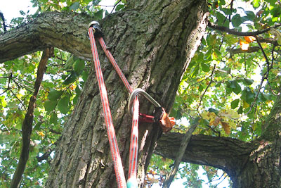 seilklettern_kambium_13