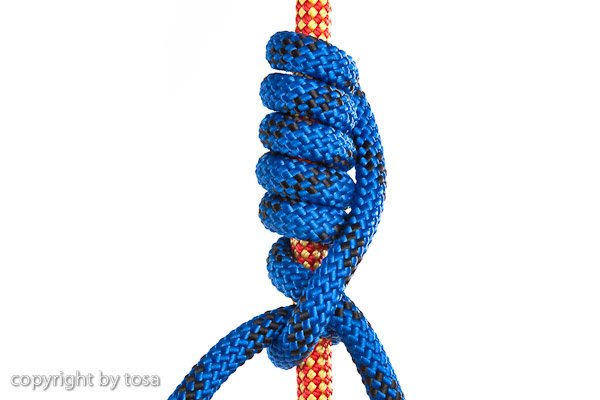 seilklettern_knoten_distel