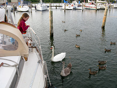 wassersport_segeln_ruegen_26