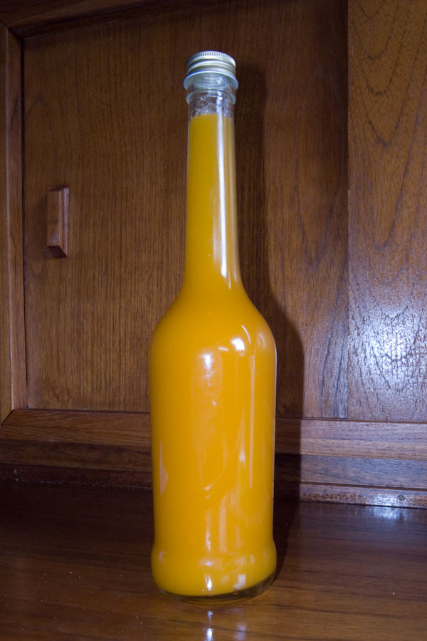 wassersport_segeln_toern_2009-52