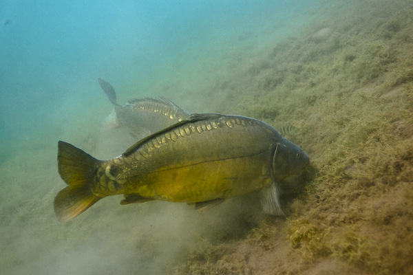 wassersport_startseite_03