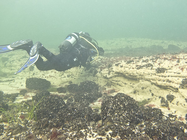 wassersport_tauchen_boergerende_07