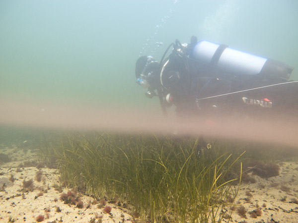 wassersport_tauchen_boergerende_atg_14_01