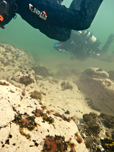 wassersport_tauchen_boergerende_atg_14_21