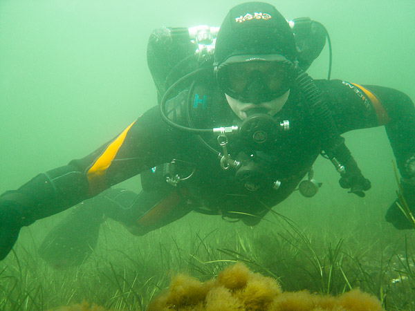 wassersport_tauchen_boergerende_tauch_01