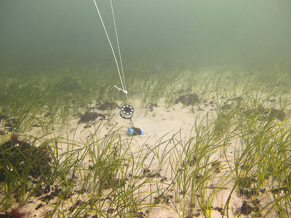 wassersport_tauchen_nienhagen_15