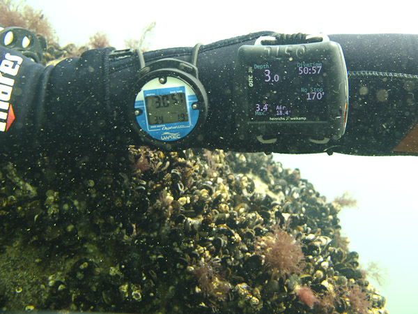 wassersport_tauchen_nienhagen_16