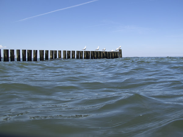 wassersport_tauchen_nienhagen_17