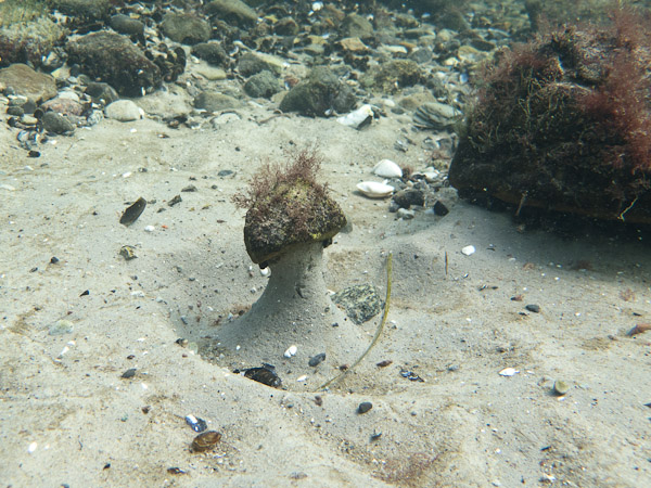 wassersport_tauchen_nienhagen_wassereinbruch_02