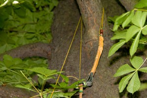 Kambiumschoner einbauen vesab.de